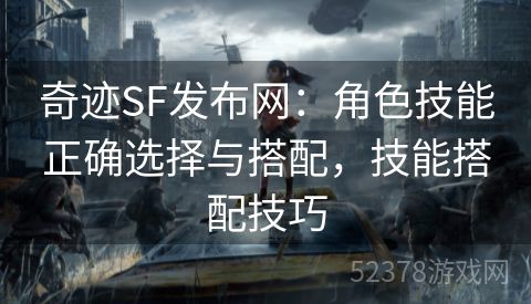 奇迹SF发布网：角色技能正确选择与搭配，技能搭配技巧