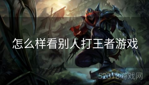 怎么样看别人打王者游戏