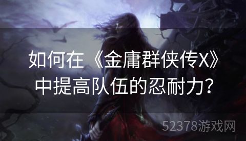 如何在《金庸群侠传X》中提高队伍的忍耐力？