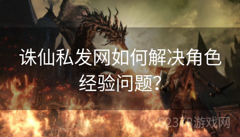 诛仙私发网如何解决角色经验问题？