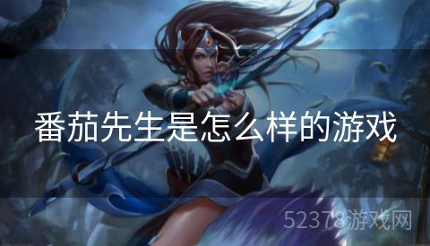 番茄先生是怎么样的游戏