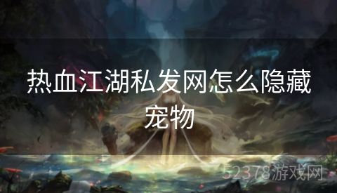 热血江湖私发网怎么隐藏宠物