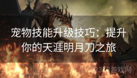 宠物技能升级技巧：提升你的天涯明月刀之旅