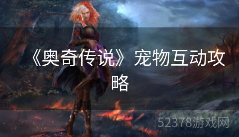 《奥奇传说》宠物互动攻略