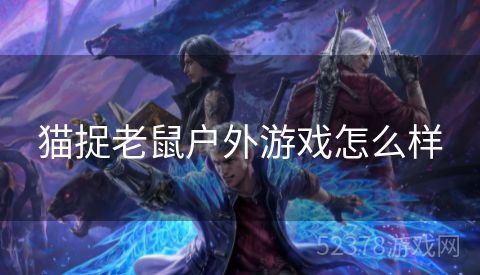 猫捉老鼠户外游戏怎么样