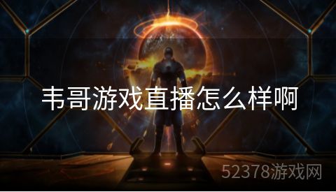 韦哥游戏直播怎么样啊