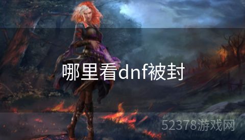 哪里看dnf被封