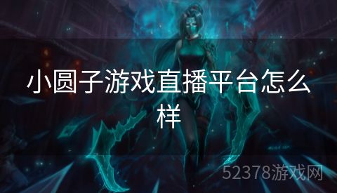 小圆子游戏直播平台怎么样