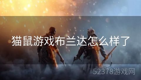 猫鼠游戏布兰达怎么样了