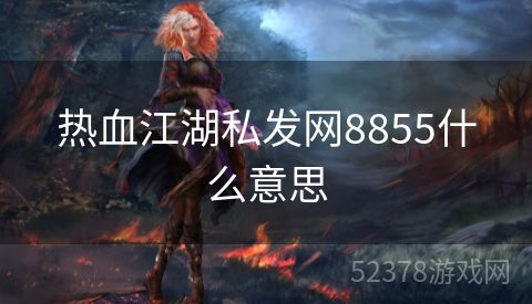 热血江湖私发网8855什么意思