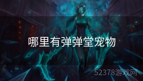 哪里有弹弹堂宠物