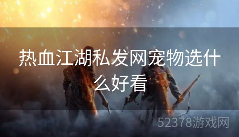 热血江湖私发网宠物选什么好看