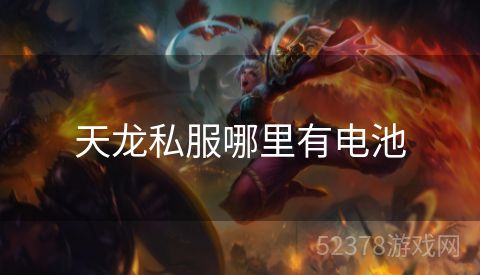 天龙私服哪里有电池