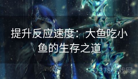 提升反应速度：大鱼吃小鱼的生存之道