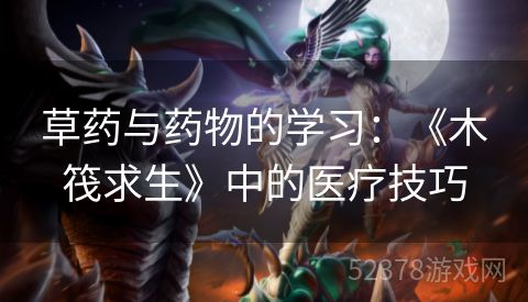 草药与药物的学习：《木筏求生》中的医疗技巧