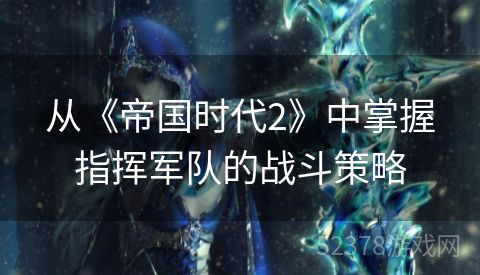 从《帝国时代2》中掌握指挥军队的战斗策略