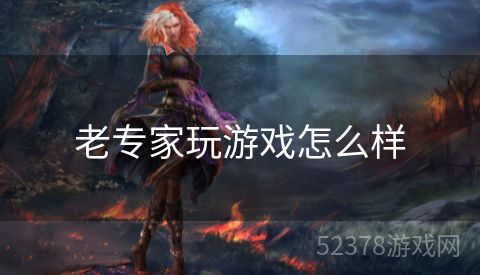 老专家玩游戏怎么样