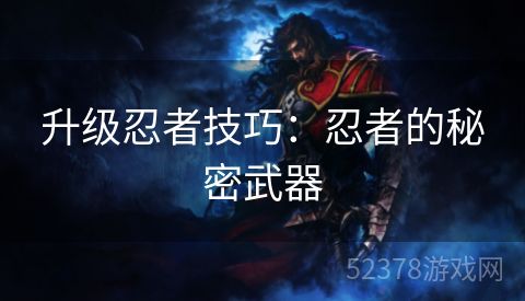 升级忍者技巧：忍者的秘密武器