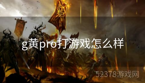 g黄pro打游戏怎么样