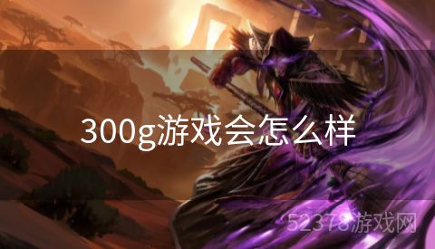 300g游戏会怎么样