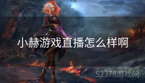 小赫游戏直播怎么样啊