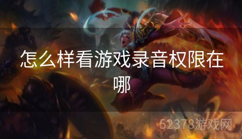 怎么样看游戏录音权限在哪