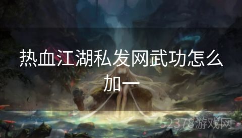 热血江湖私发网武功怎么加一