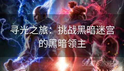 寻光之旅：挑战黑暗迷宫的黑暗领主