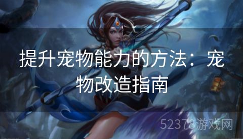 提升宠物能力的方法：宠物改造指南