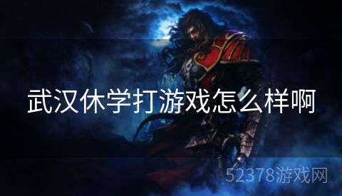 武汉休学打游戏怎么样啊