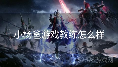 小杨爸游戏教练怎么样