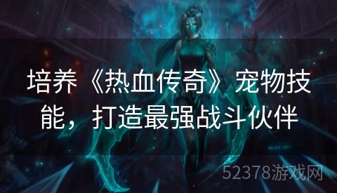 培养《热血传奇》宠物技能，打造最强战斗伙伴