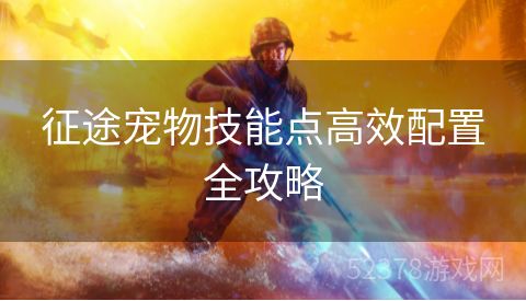 征途宠物技能点高效配置全攻略