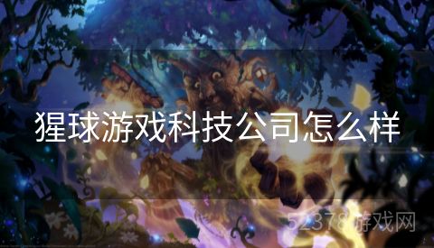 猩球游戏科技公司怎么样