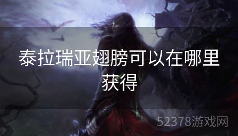 泰拉瑞亚翅膀可以在哪里获得