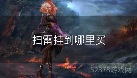 扫雷挂到哪里买