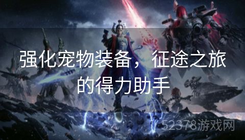 强化宠物装备，征途之旅的得力助手