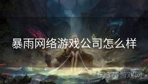暴雨网络游戏公司怎么样