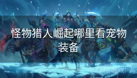 怪物猎人崛起哪里看宠物装备