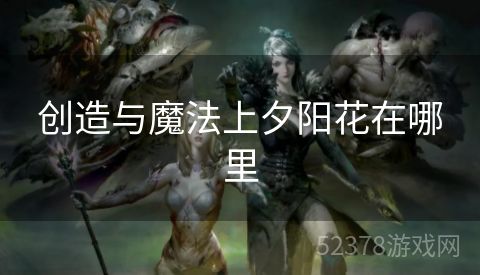 创造与魔法上夕阳花在哪里