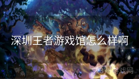 深圳王者游戏馆怎么样啊
