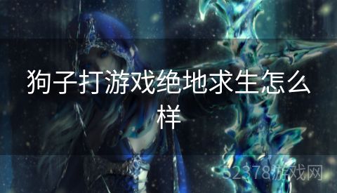 狗子打游戏绝地求生怎么样