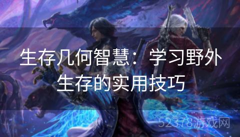 生存几何智慧：学习野外生存的实用技巧