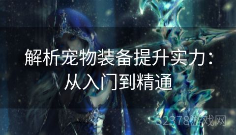 解析宠物装备提升实力：从入门到精通