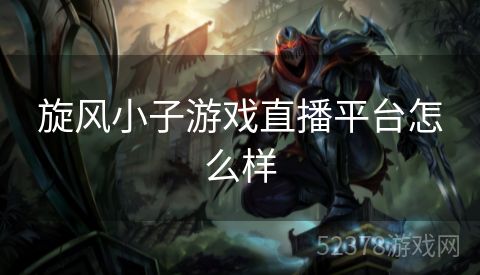 旋风小子游戏直播平台怎么样