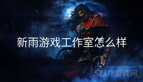 新雨游戏工作室怎么样