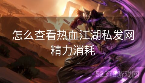 怎么查看热血江湖私发网精力消耗