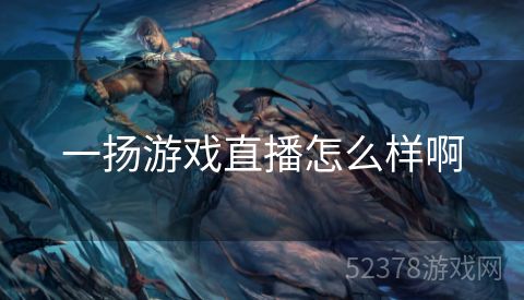 一扬游戏直播怎么样啊