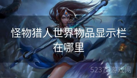 怪物猎人世界物品显示栏在哪里