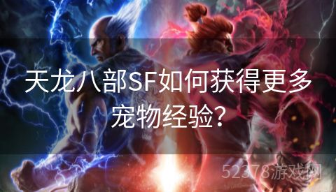天龙八部SF如何获得更多宠物经验？